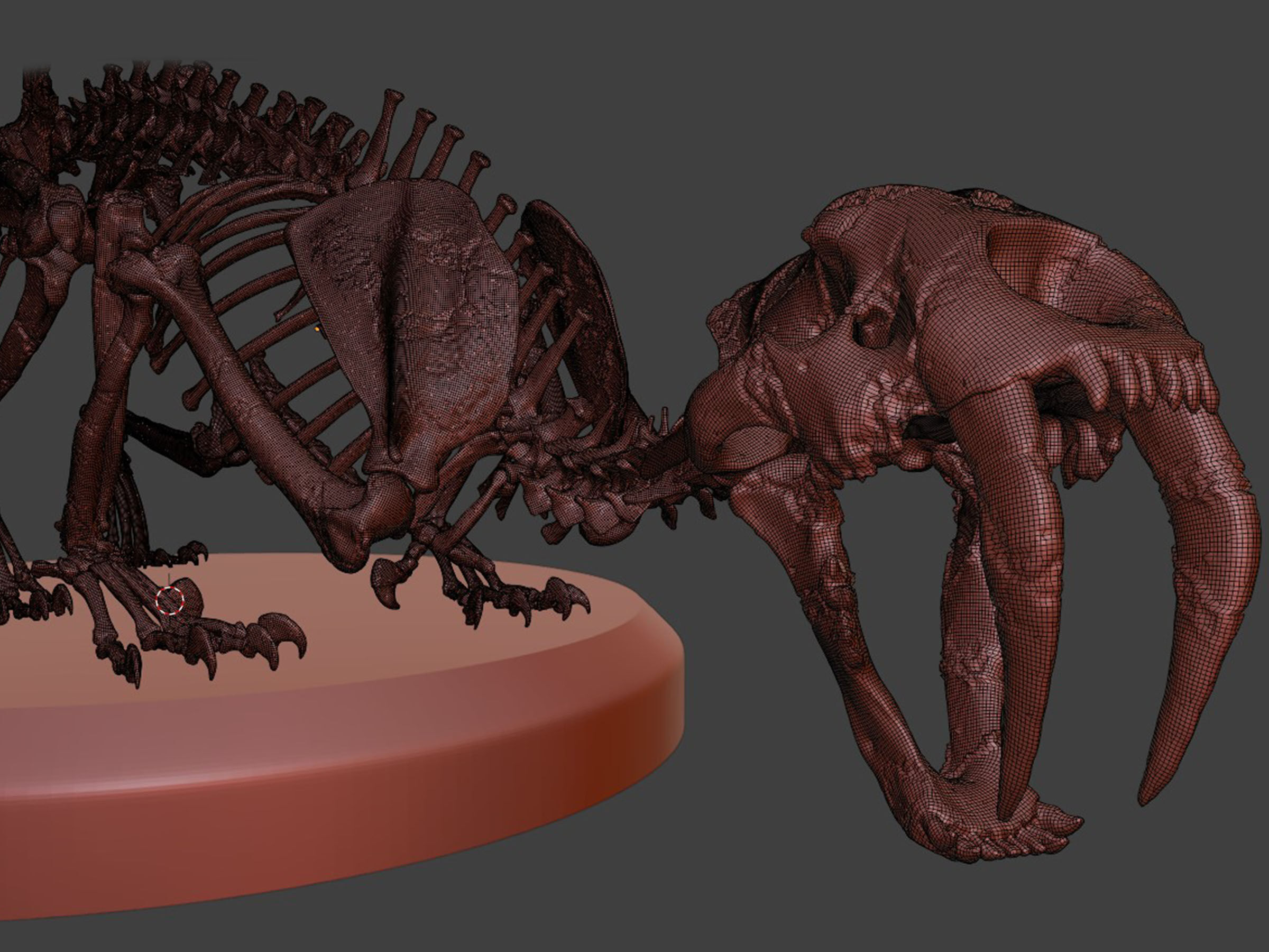 Silver Sabretooth Skeleton 3D model_7