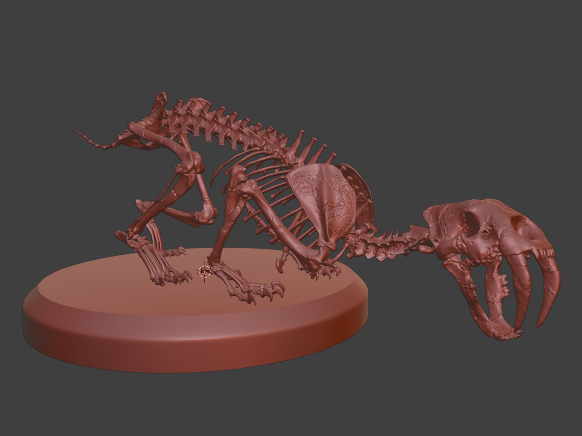 Silver Sabretooth Skeleton 3D model_6