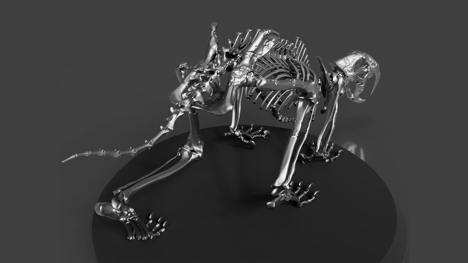 Silver Sabretooth Skeleton 3D model_4