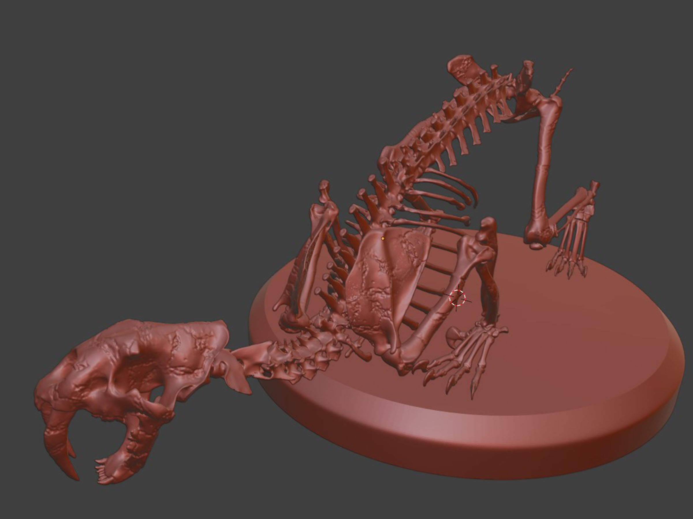 Silver Sabretooth Skeleton 3D model_8