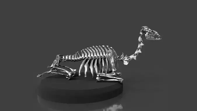 Silver Rest Camel Skeleton