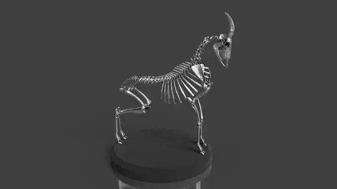 Goat Skeleton Concept Art Model 3D model