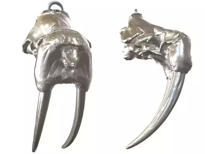 Cranium Charm Walrus