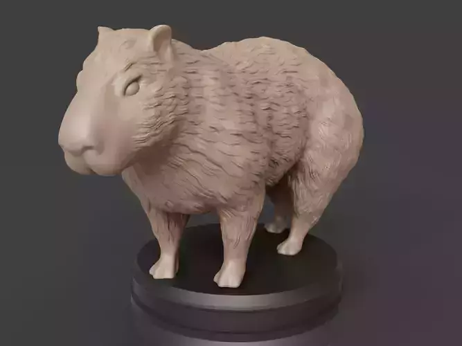 Fluffy Capybara 3D print model