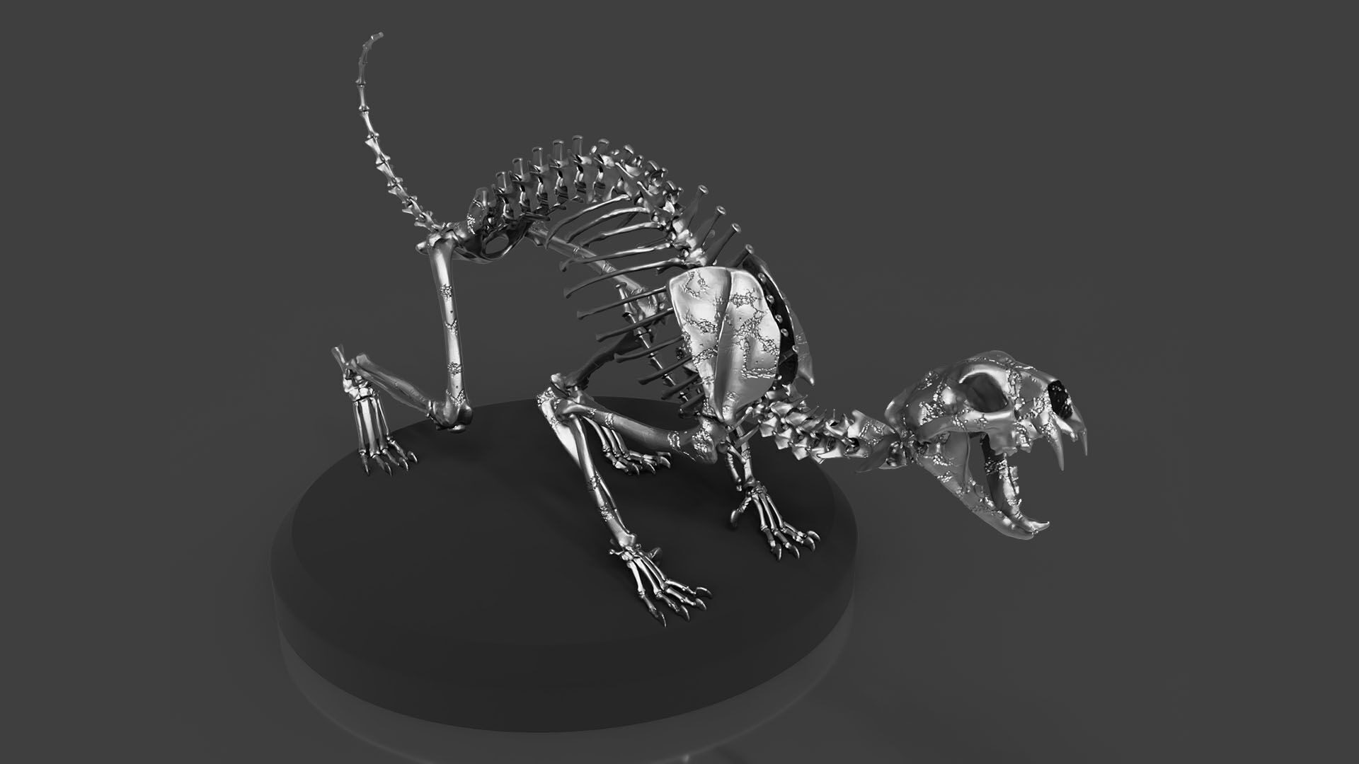 Silver CAT Skeleton 3D model_1