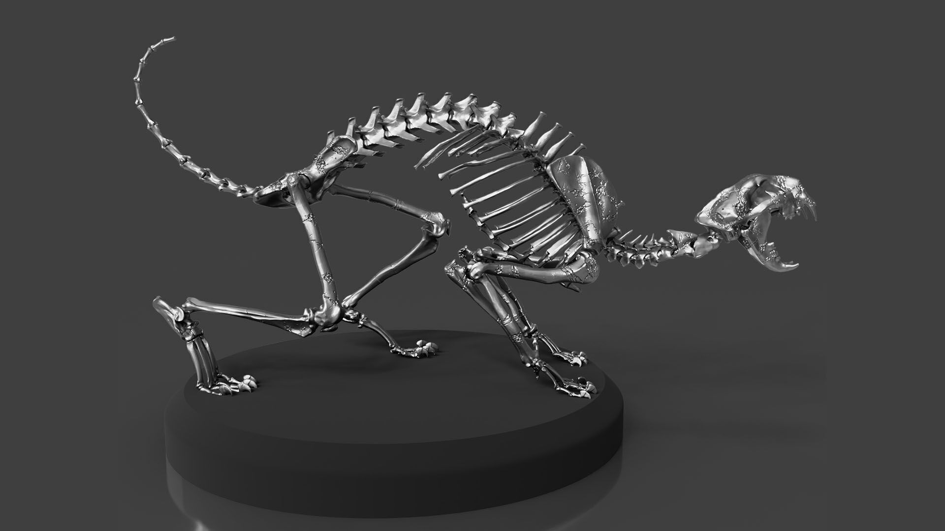 Silver CAT Skeleton 3D model_2