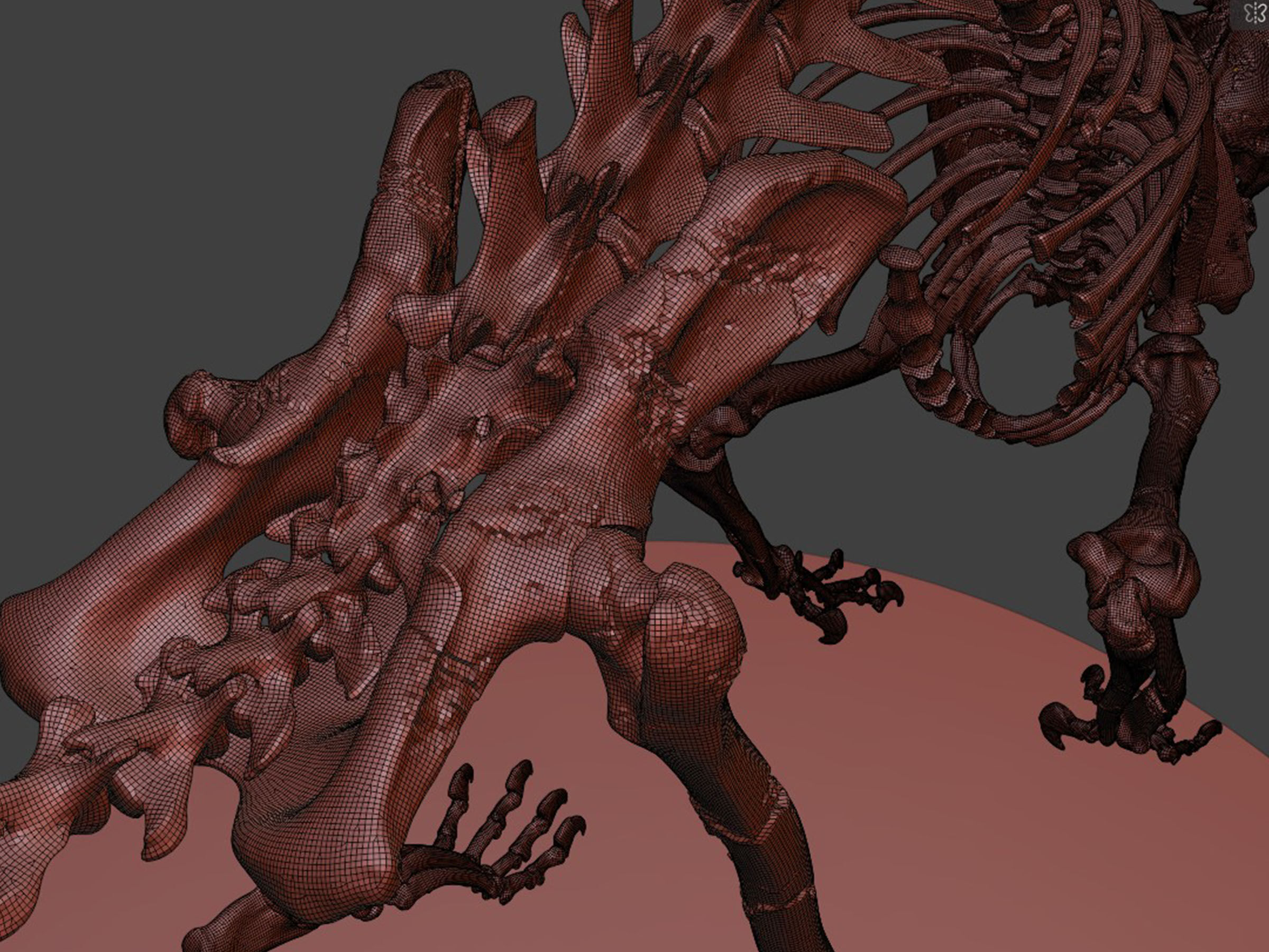 Silver CAT Skeleton 3D model_9