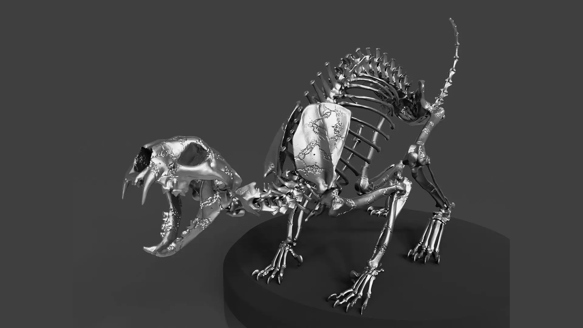 Silver CAT Skeleton 3D model_0