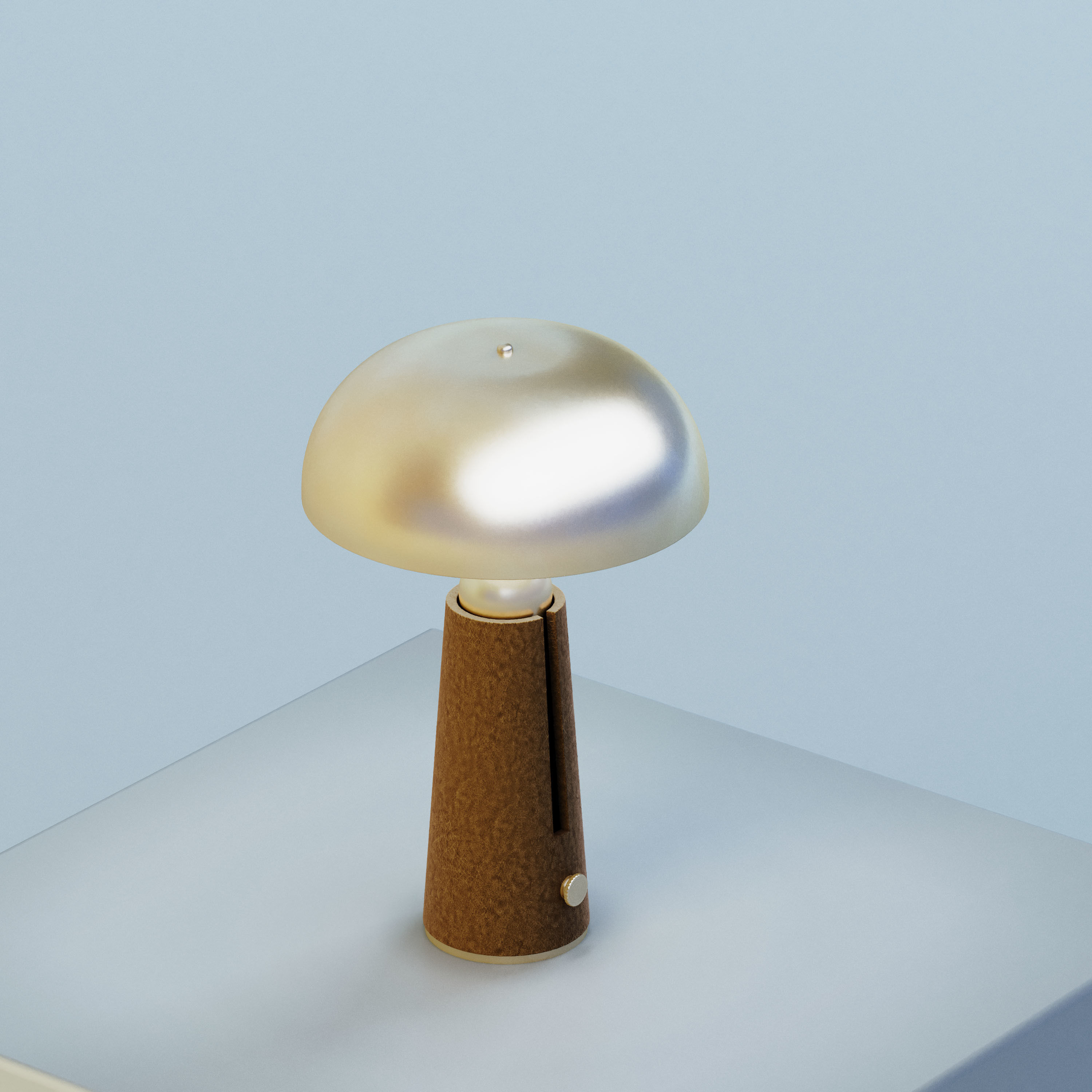 Metal Dome Table Lamp 3D model_1