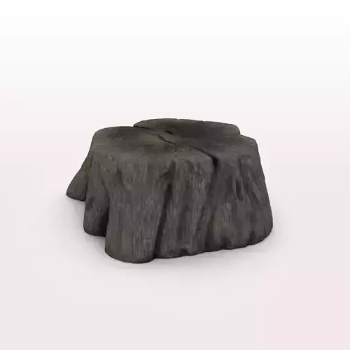 Old Tree Stump