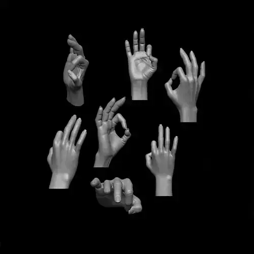 Female palm ok position