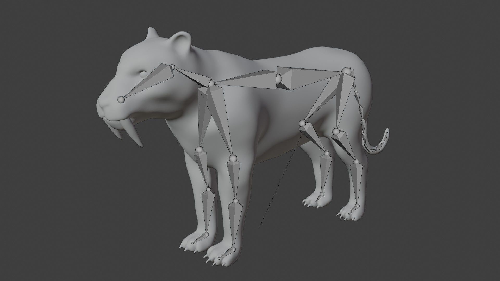 Smilodon Sabertooth tiger 3D model_8
