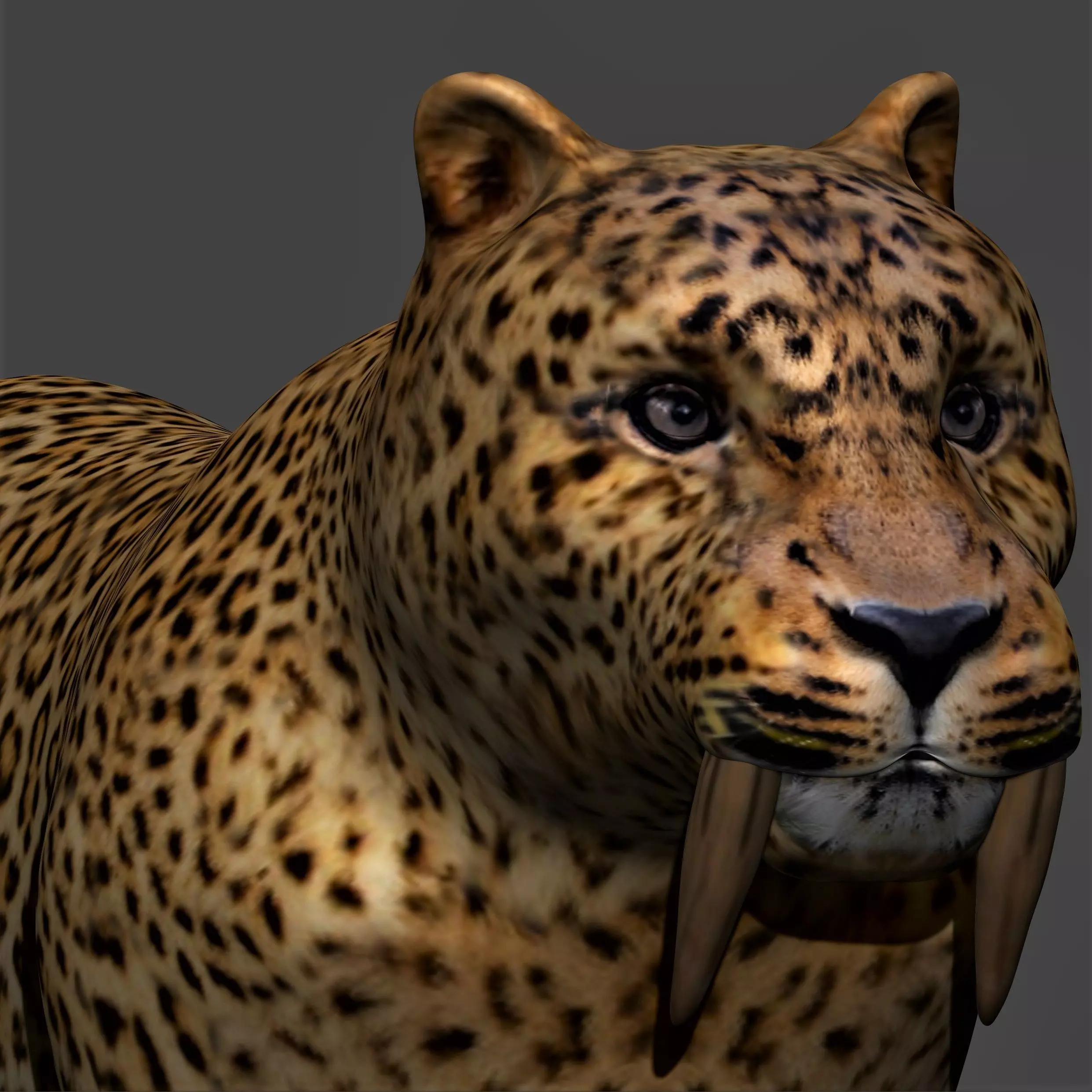 Smilodon Sabertooth tiger 3D model_0