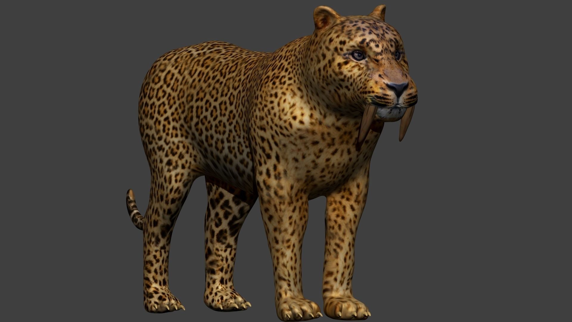 Smilodon Sabertooth tiger 3D model_1