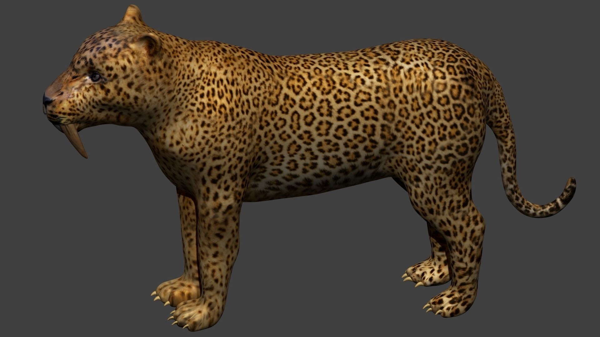 Smilodon Sabertooth tiger 3D model_3