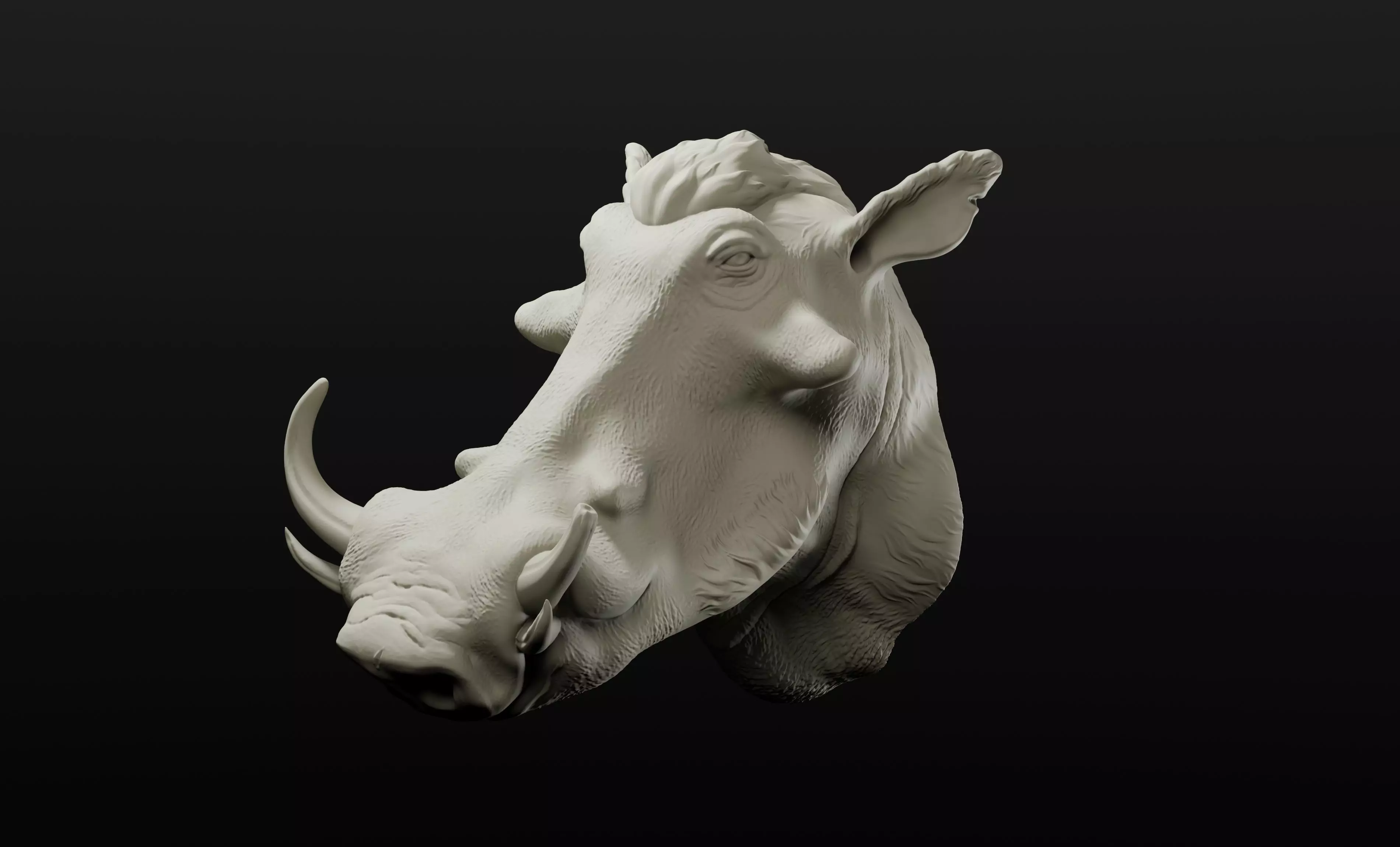 Warthog head wall hanger trophy intended for 3D printing 3D print model