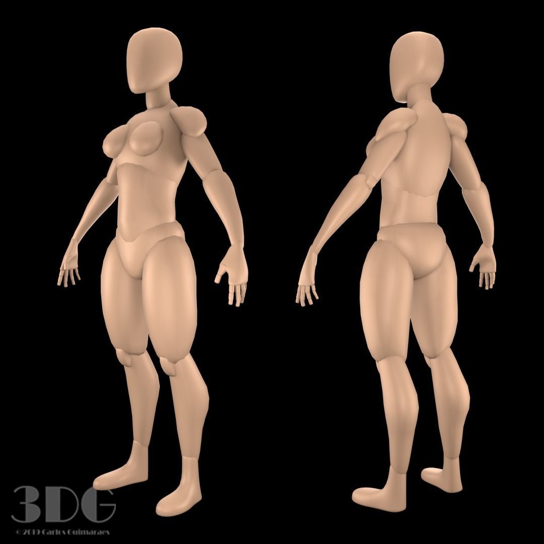 Base Mesh Male and Female Low-poly 3D model_3