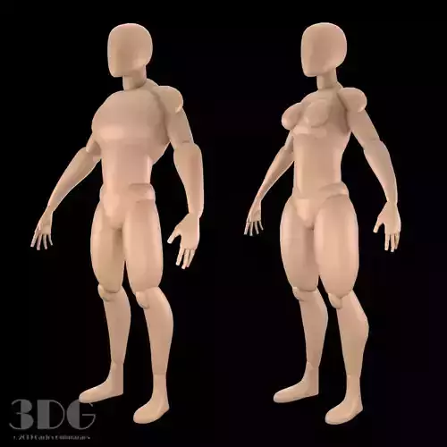 Base Mesh Male and Female