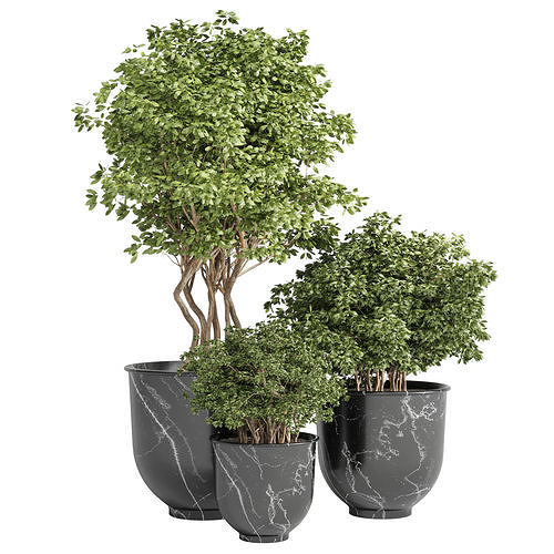 Outdoor plant 08 Low-poly 3D model