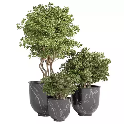 Outdoor plant 08 Low-poly 3D model