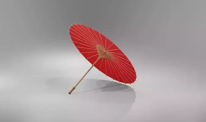 Traditional Japanese umbrella 