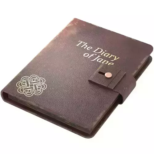 The Diary Of Jane Low-poly 3D model