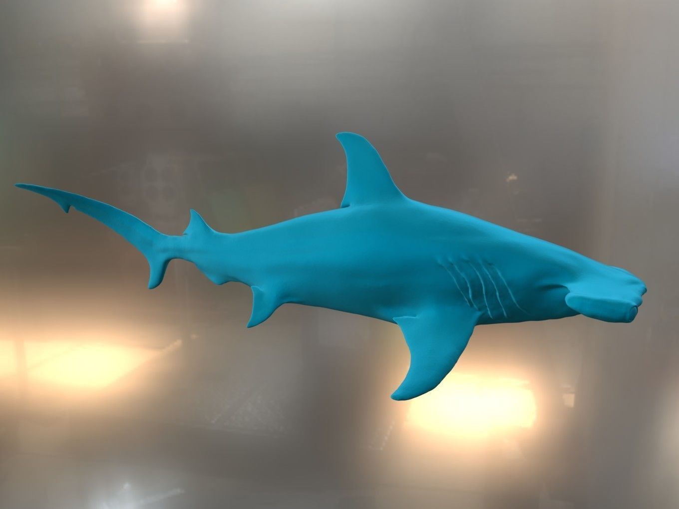 Hammer Shark 3D print model_1