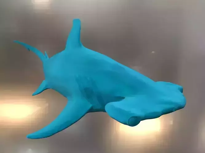 Hammer Shark