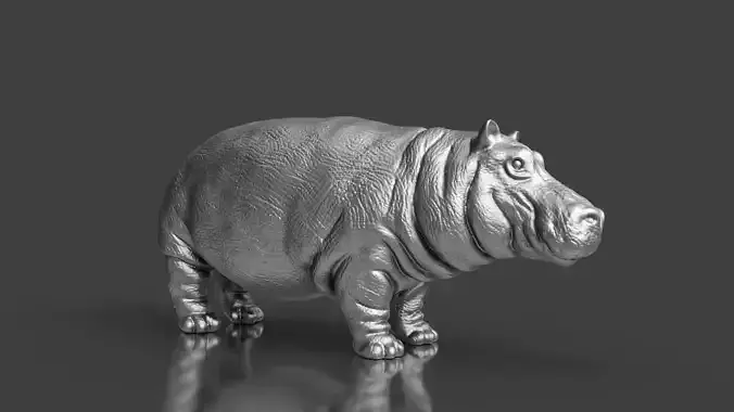 Silver Hippo hippopotamus