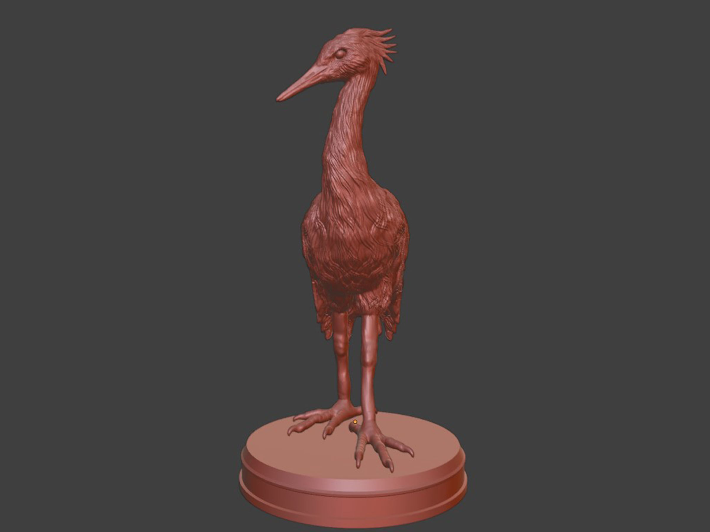 Realistic Crane Bird 3D print model_9