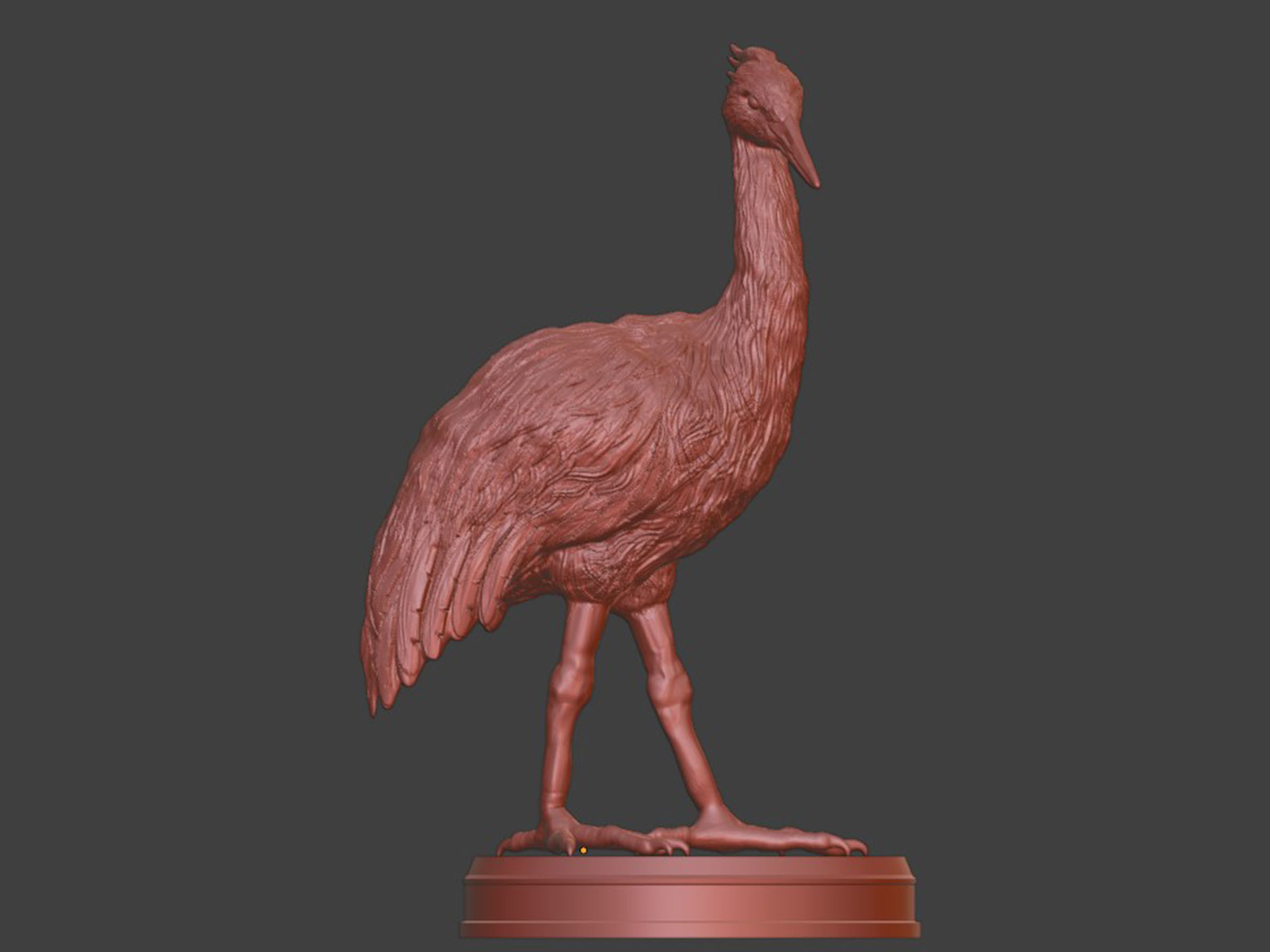 Realistic Crane Bird 3D print model_6
