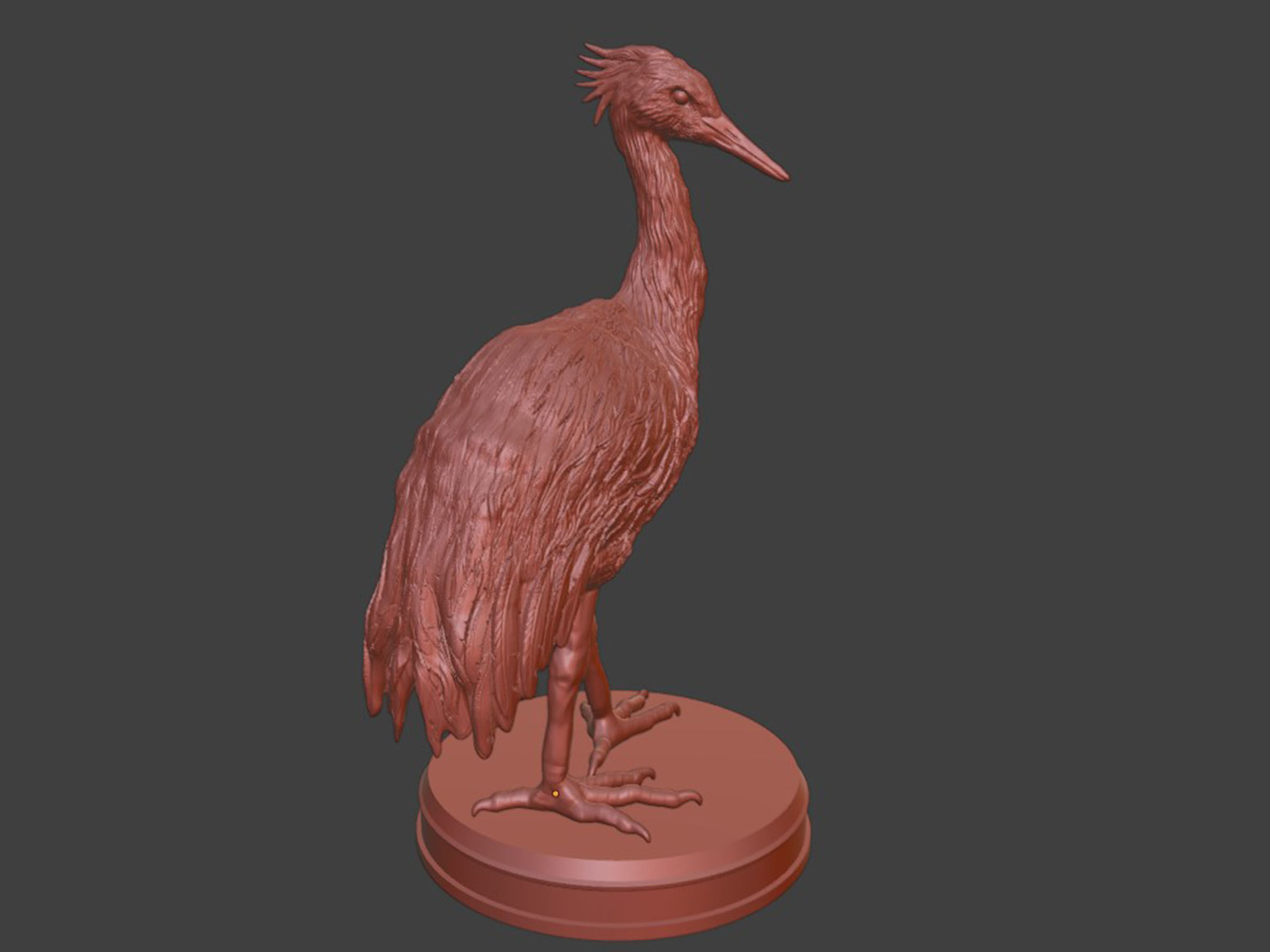 Realistic Crane Bird 3D print model_7