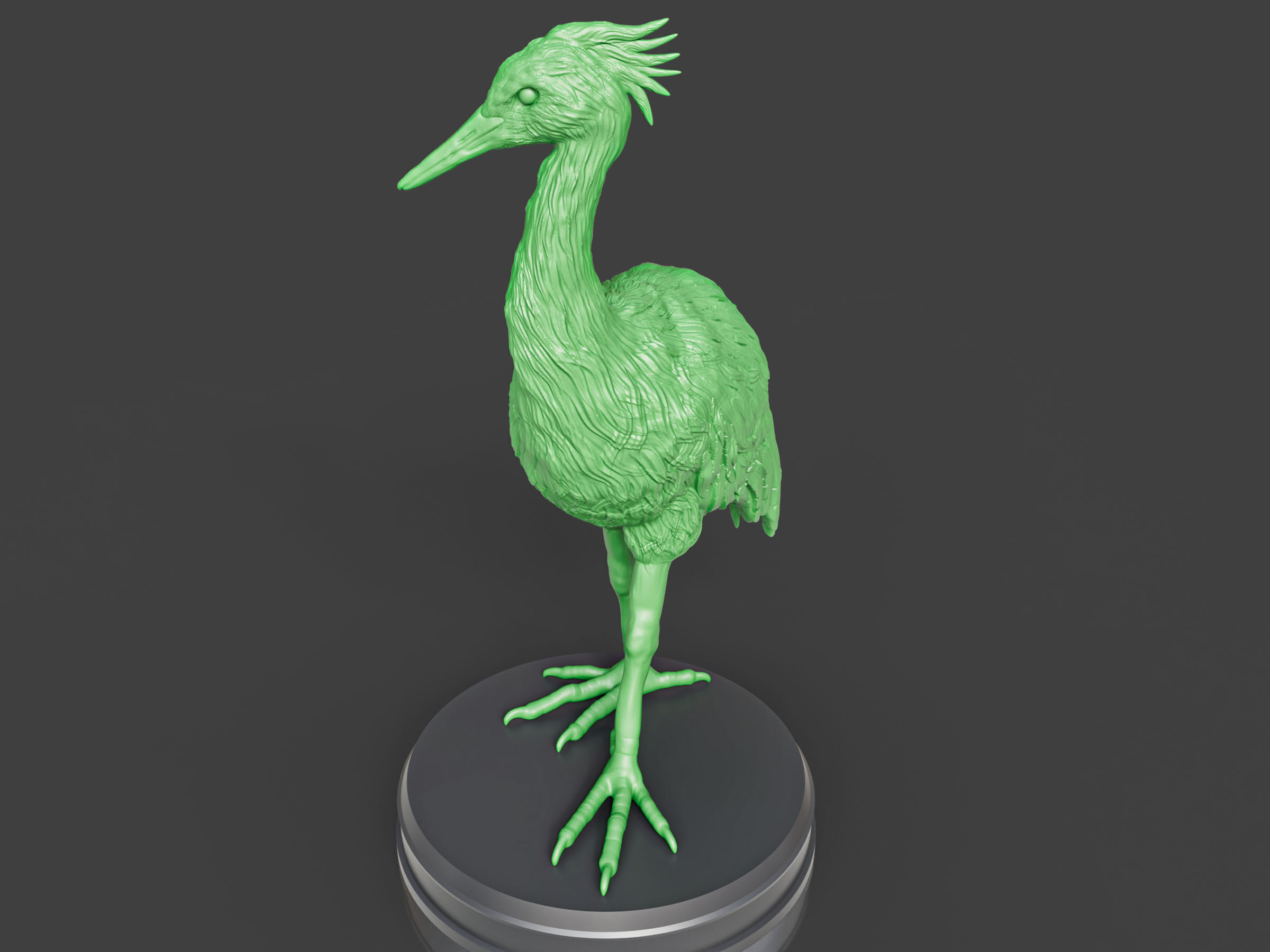 Realistic Crane Bird 3D print model_5