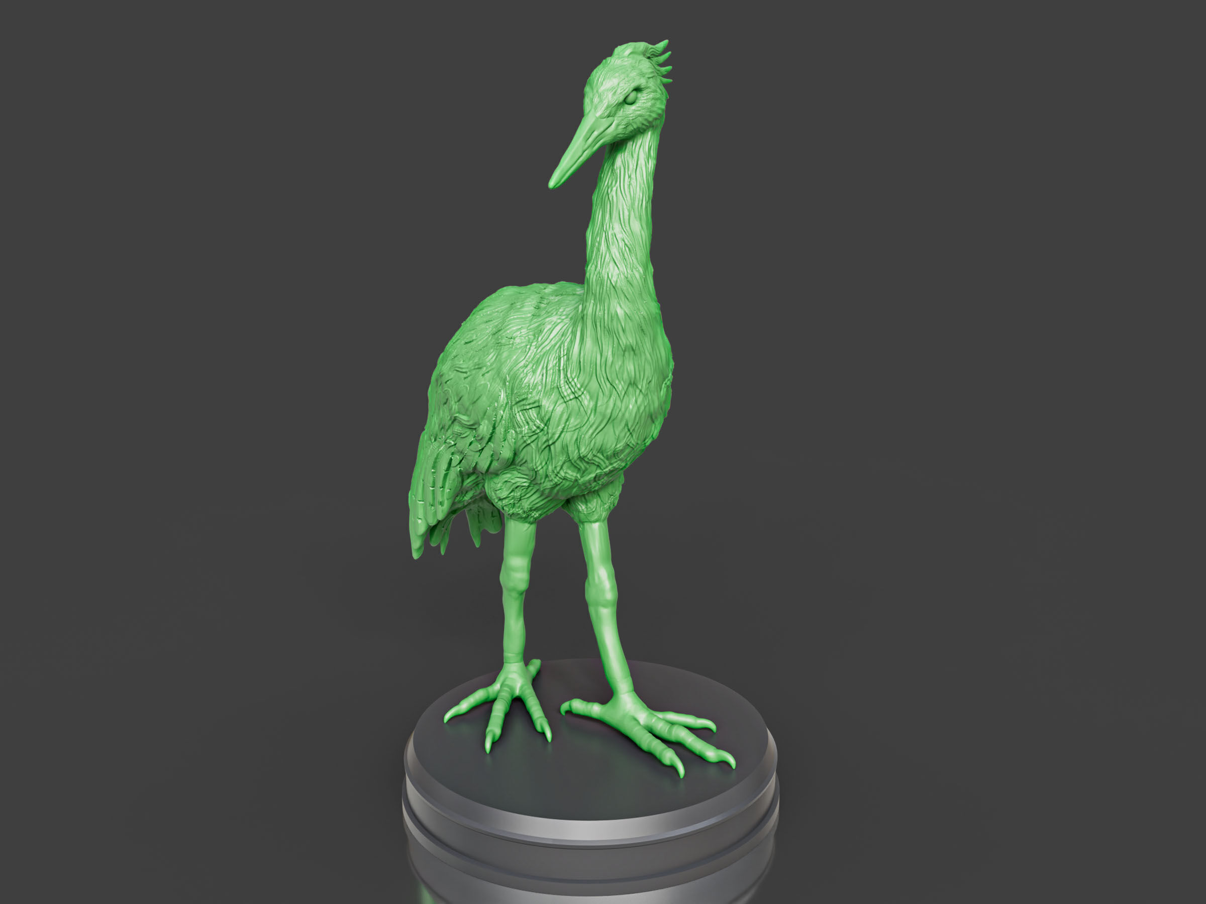 Realistic Crane Bird 3D print model_1