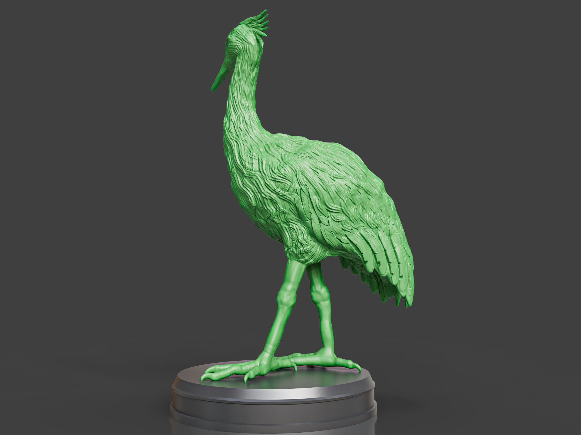 Realistic Crane Bird 3D print model_4