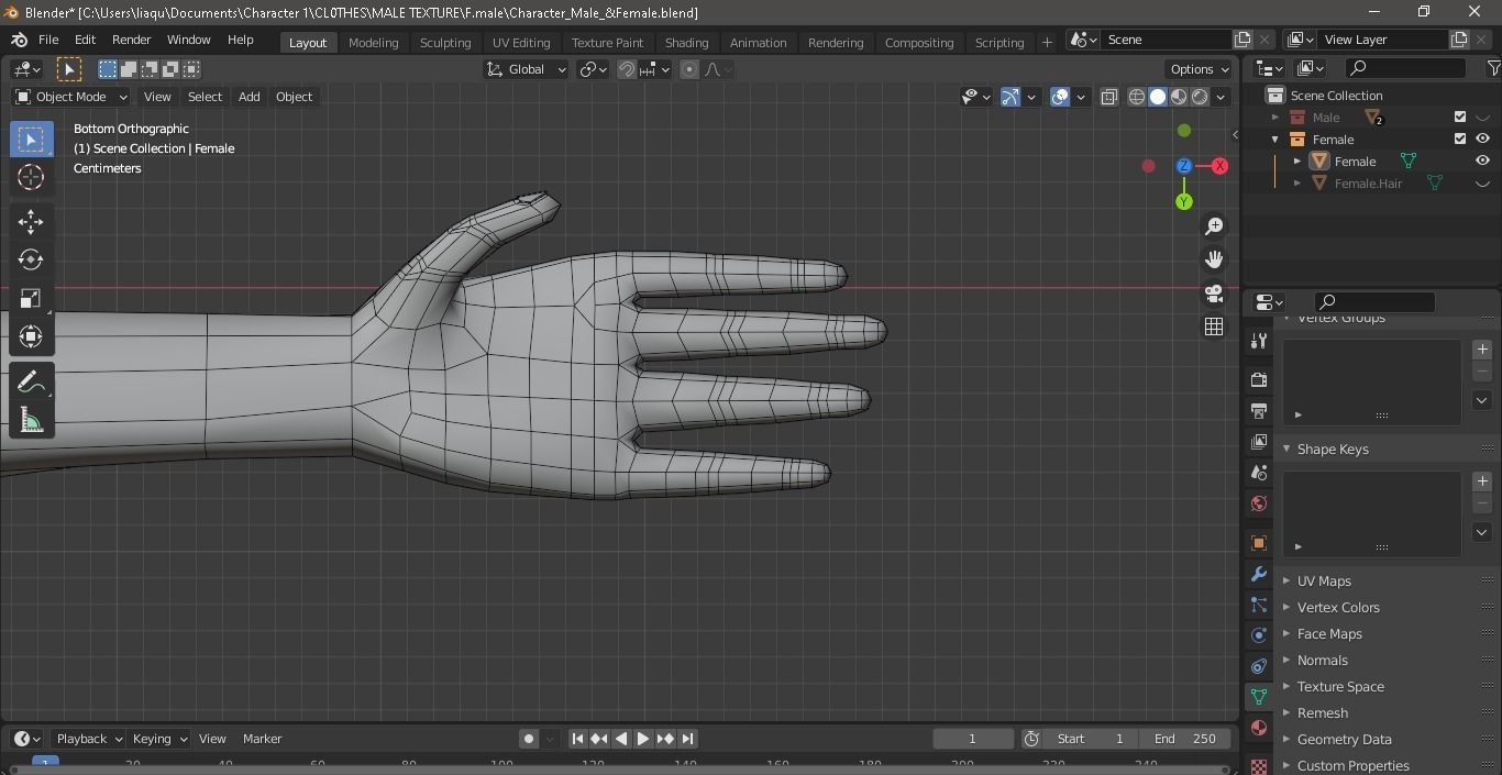 Character Male AND Female Low-poly 3D model_37