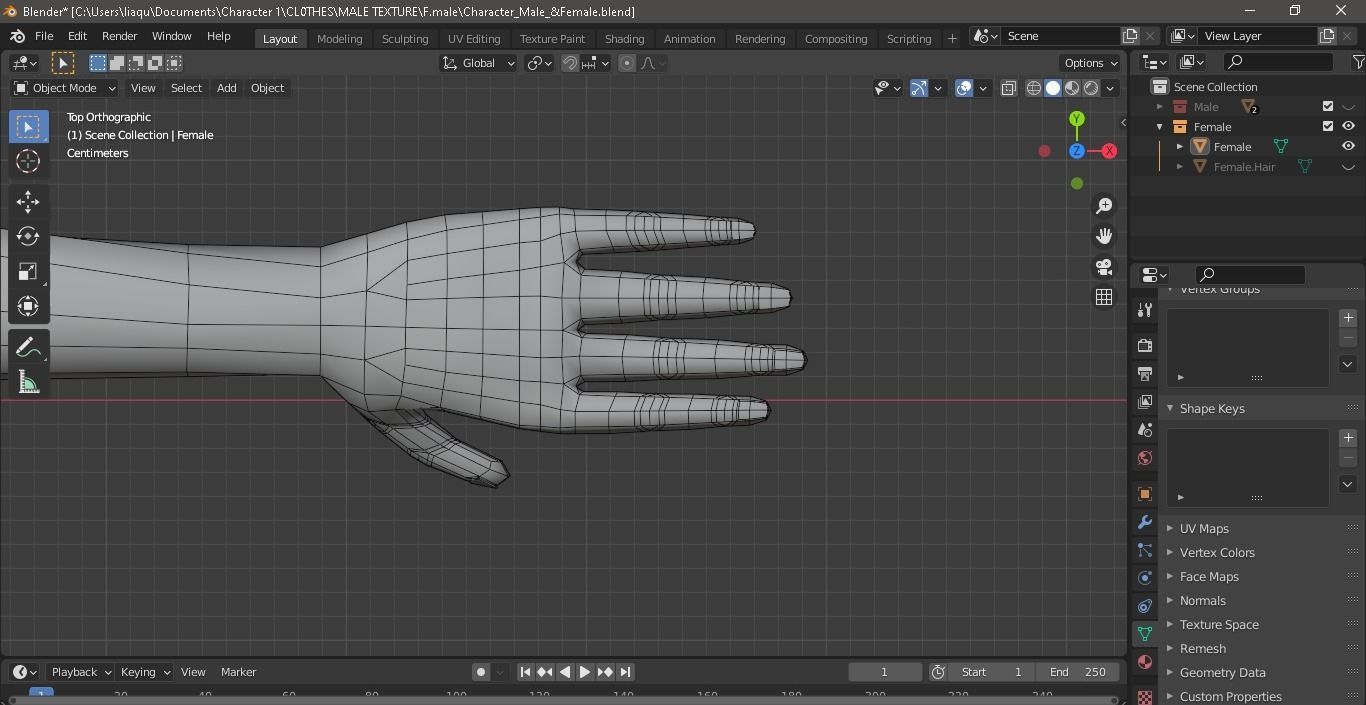 Character Male AND Female Low-poly 3D model_35