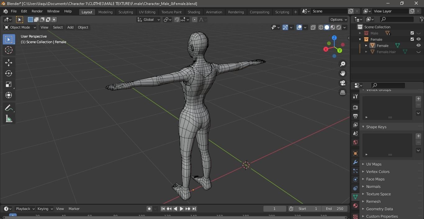Character Male AND Female Low-poly 3D model_34