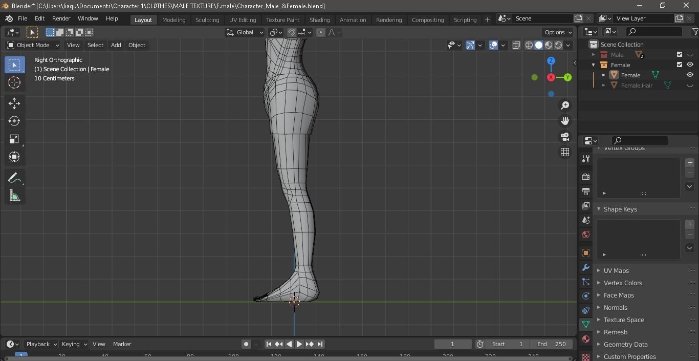Character Male AND Female Low-poly 3D model_33