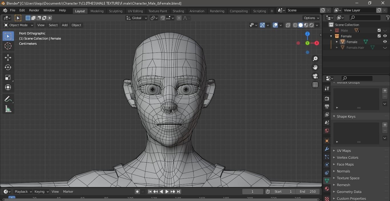 Character Male AND Female Low-poly 3D model_29