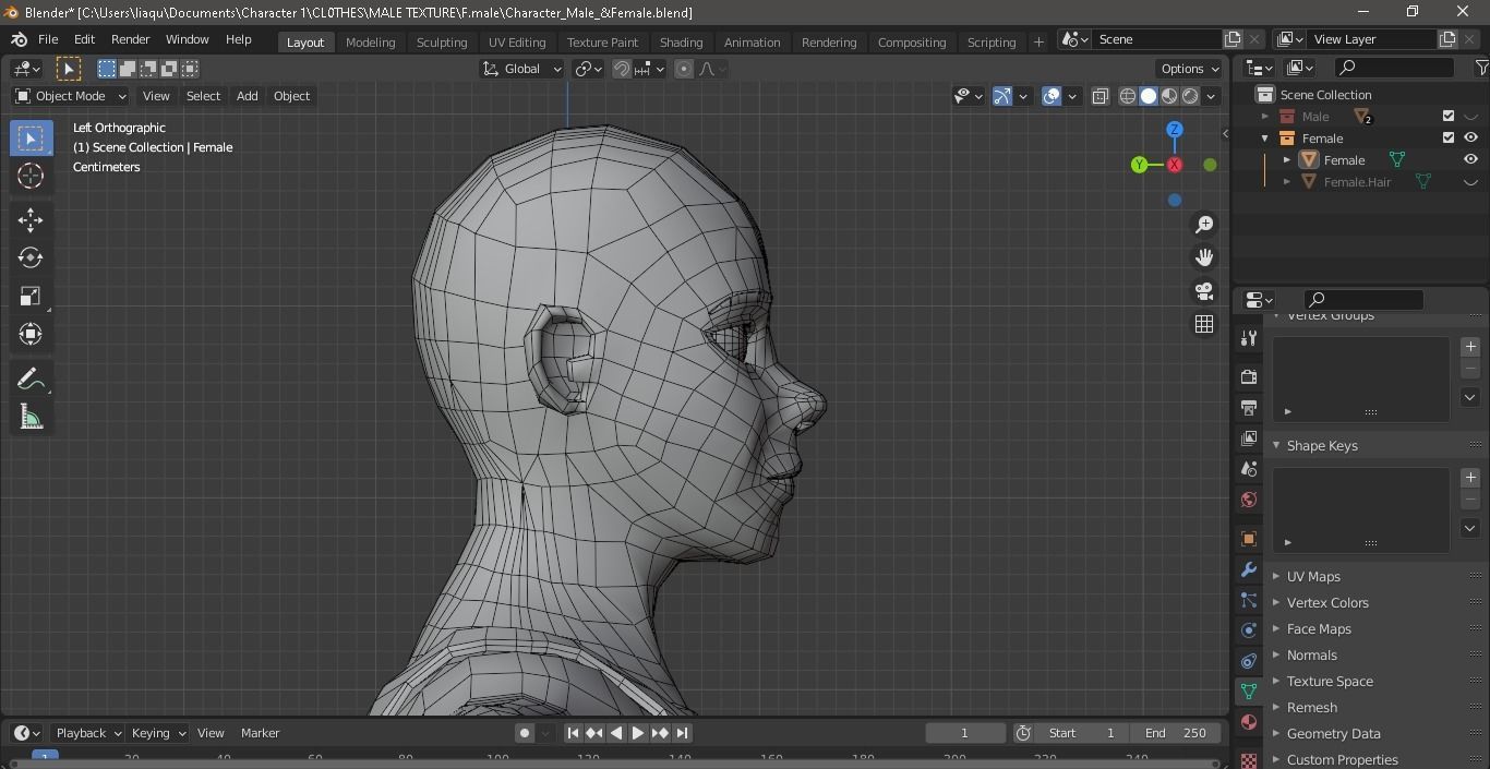Character Male AND Female Low-poly 3D model_30