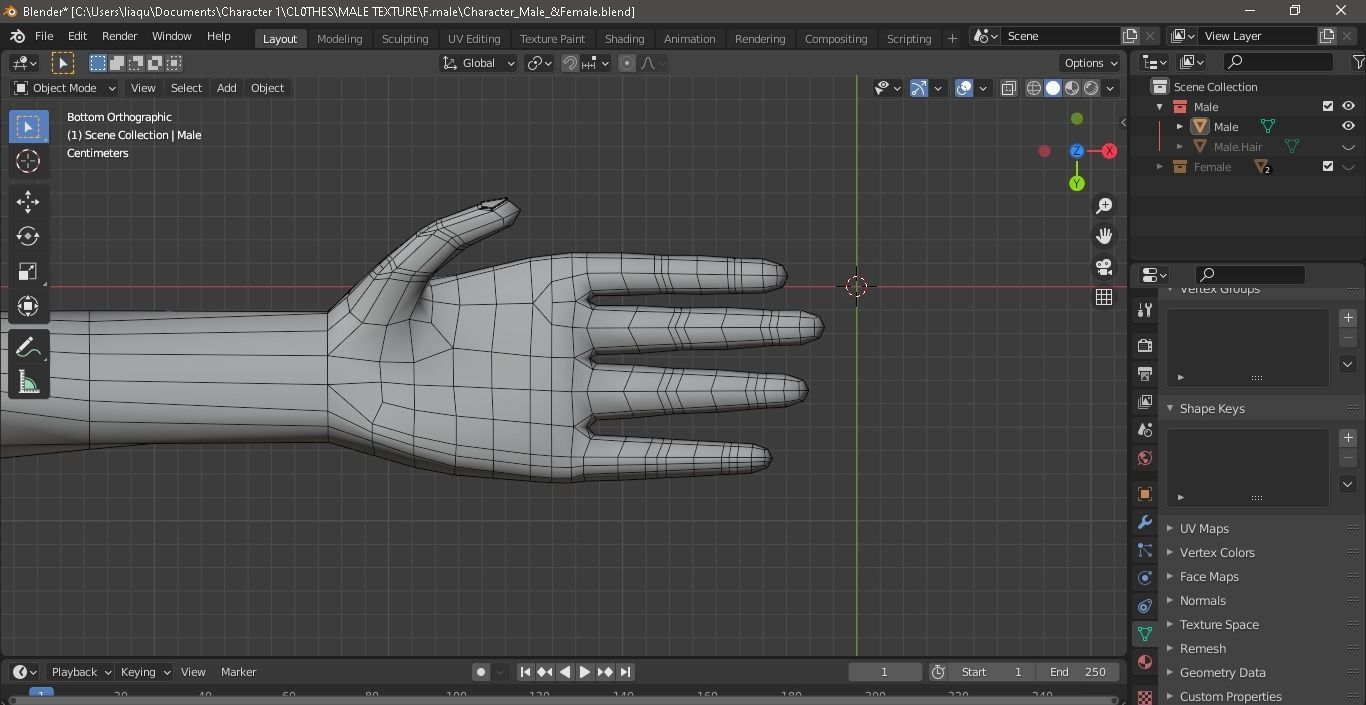 Character Male AND Female Low-poly 3D model_15