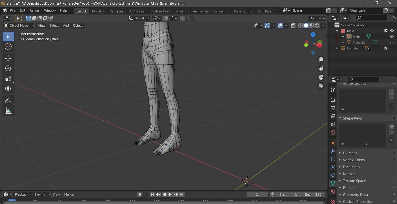 Character Male AND Female Low-poly 3D model_17