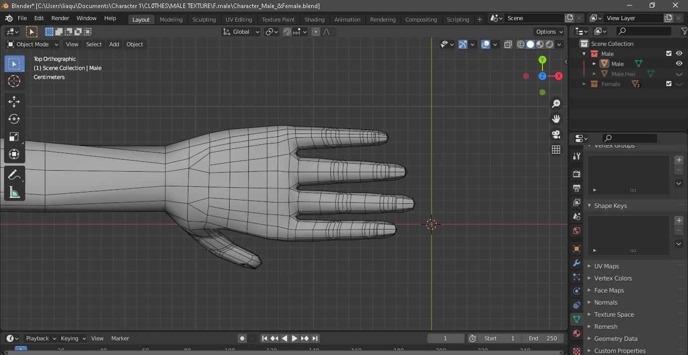 Character Male AND Female Low-poly 3D model_14