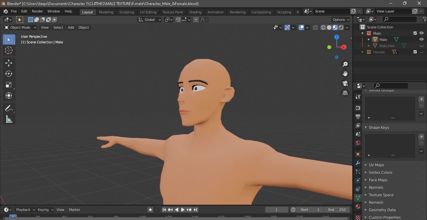 Character Male AND Female Low-poly 3D model_3