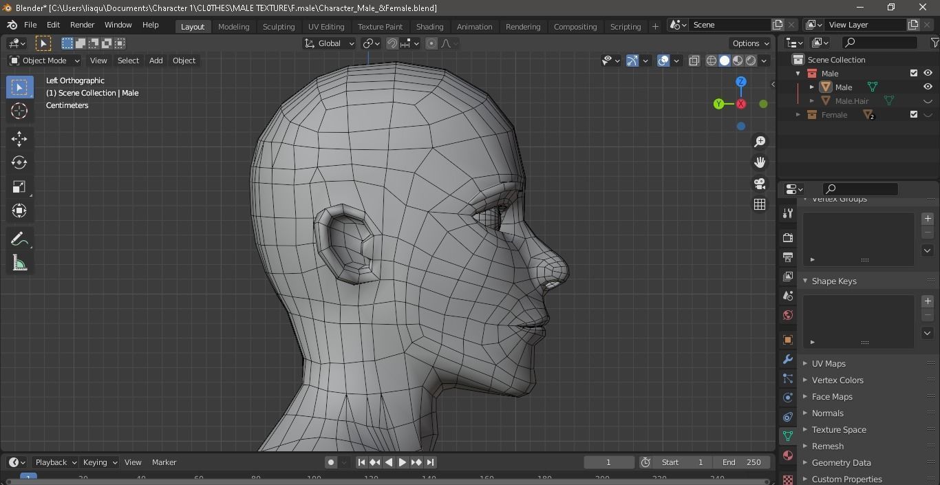 Character Male AND Female Low-poly 3D model_13