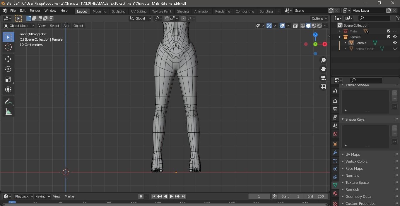 Character Male AND Female Low-poly 3D model_32