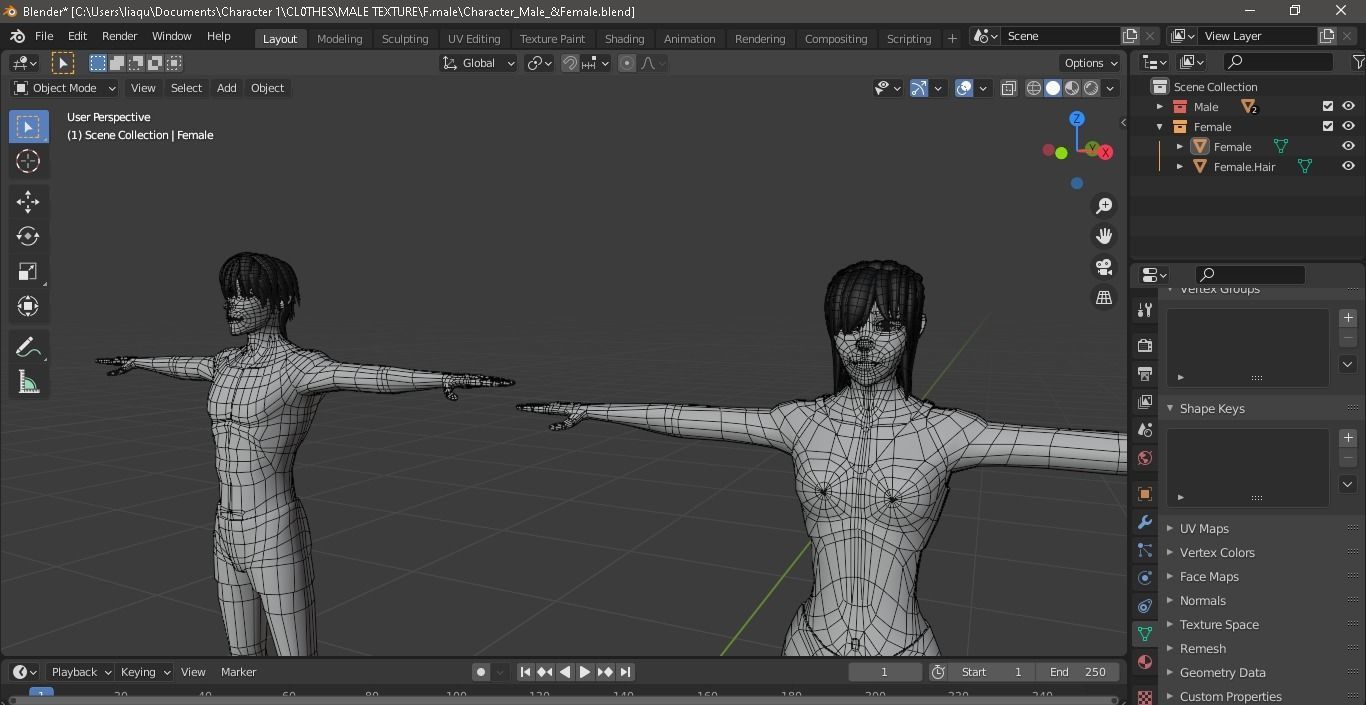 Character Male AND Female Low-poly 3D model_38