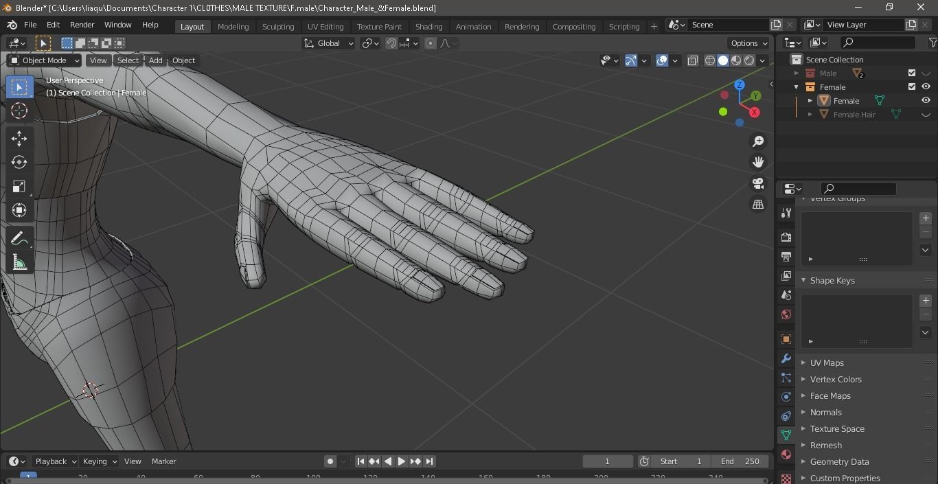 Character Male AND Female Low-poly 3D model_36