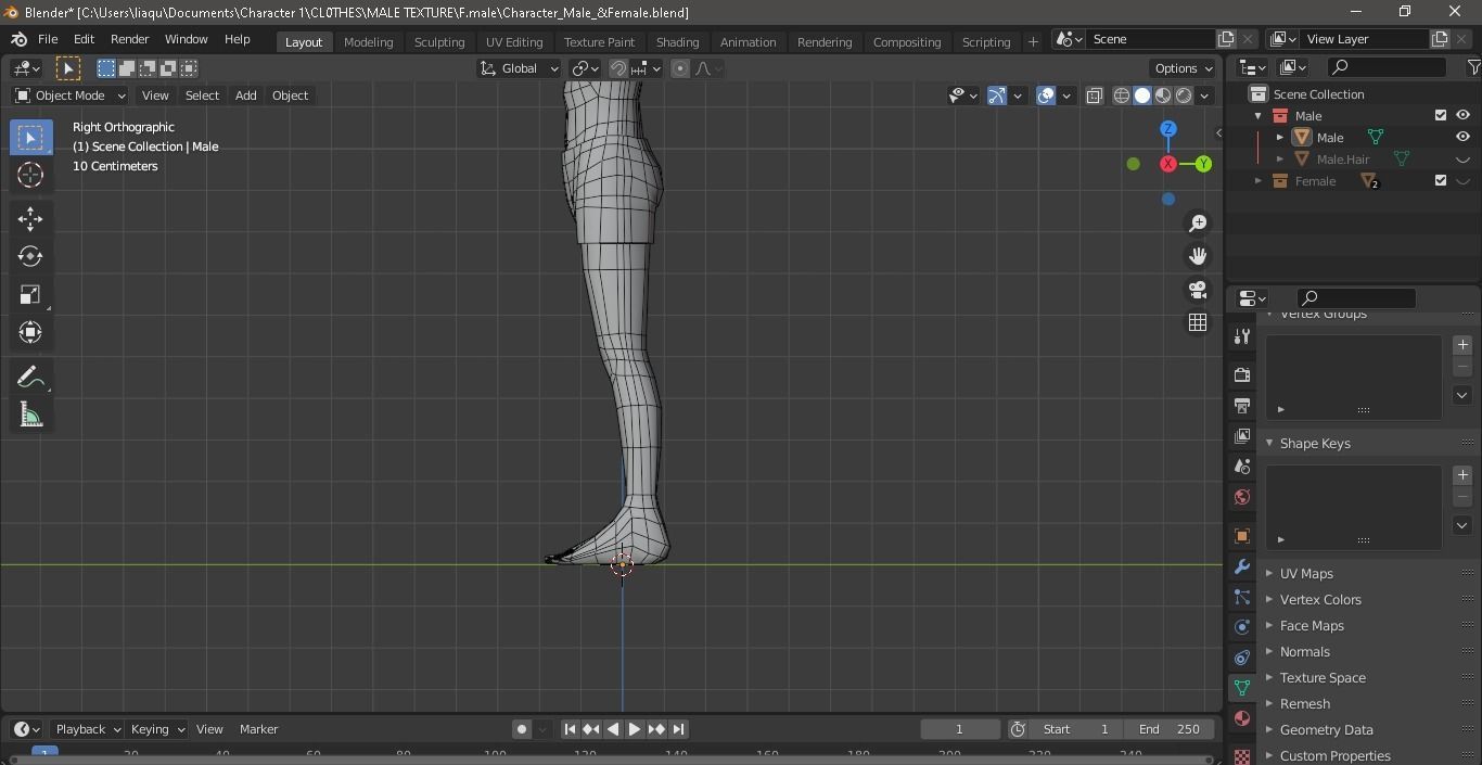 Character Male AND Female Low-poly 3D model_18